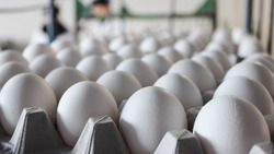 Причину роста цен на яйца назвали в минсельхозе Сахалинской области