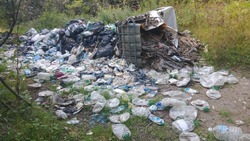 «Свалка пластика»: очевидцы обнаружили сотни бутылок в лесу Корсаковского района
