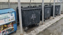 «Вонь стоит невыносимая»: южносахалинцы оставили жалобу на мусорные контейнеры