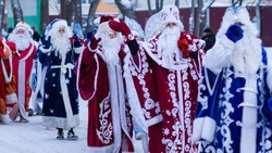 Главную новогоднюю елку зажгли для жителей Углегорска 20 декабря