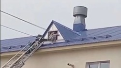 Спецслужбы выехали на спасение сидящей на крыше девушки в Дальнем