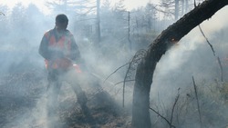 Жителям Сахалинской области запретили ходить в лес и жечь костры