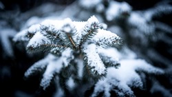 Снег и 20-градусные морозы: погода в Сахалинской области на неделю
