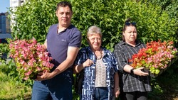 Цветы в своих дворах высадили два ТОС в Южно-Сахалинске