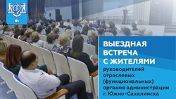Вице-мэр Южно-Сахалинска встретится с жителями Дальнего и Елочек