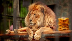 Расписание работы зоопарка в Южно-Сахалинске изменят с 16 сентября