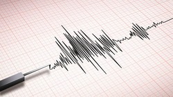 Жители Невельского района ощутили землетрясение до 3 баллов