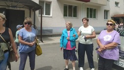Пенсионеры встали на защиту стаи уличных собак в Корсакове. «Будки не кусаются»