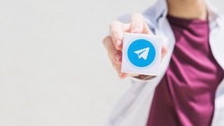 Реестр блогеров в Telegram может появиться в России 