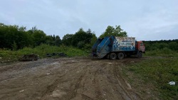  Специалисты агентства лесного хозяйства рассказали о незаконной свалке в Корсакове 