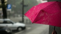 Сильный дождь ожидают сразу в девяти районах Сахалина с ночи 31 августа 