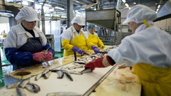 Девять магазинов Корсакова будут торговать дешевой рыбой