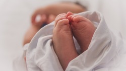 Число новорожденных увеличилось в 2022 году на Сахалине 