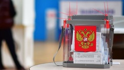 «Чисто и прозрачно»: на Дальнем Востоке обеспечили открытость выборов президента РФ
