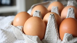 Жителям отдаленных районов Южно-Сахалинска привезут яйцо и птицу