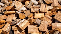 Генеральный прокурор РФ Игорь Краснов заинтересовался ростом цен на дрова в России