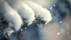 Мороз, снег и сильный ветер: погода в Сахалинской области на 19 января