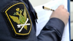 Арест автомобиля заставил жителя Углегорска выплатить алименты