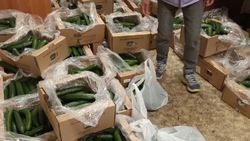 Совхоз «Тепличный» передал инвалидам овощи в рамках акции помощи в Южно-Сахалинске 