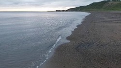 Тонны корюшки выбросило на берег в Углегорском районе