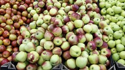 В социальные магазины Сахалина привезли 25 тонн яблок из Воронежа