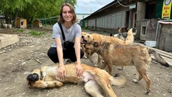 «Звонят по ночам»: волонтер приюта «Пес и кот» приоткрыла завесу своей работы