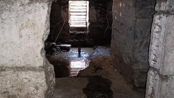 Жители Корсакова пожаловались на грязь и крыс в подвале дома 