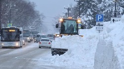 В Южно-Сахалинске стало на 100 тыс. кубометров снега меньше 