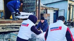 Доступная рыба, лыжная трасса и книгодарение: итоги работы волонтеров «Единой России»