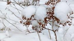Мороз до -34 градусов ожидается в долинах Сахалина 10 февраля