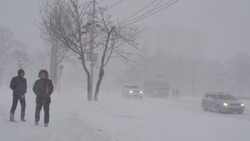 Очевидцы сообщили об умирающем в снегу мужчине в Южно-Сахалинске
