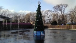 Новогоднюю елку установили в парке Южно-Сахалинска
