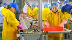 Производство рыбной продукции увеличили в России с начала года