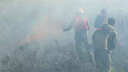 Пожарные за 10 минут потушили горящий сарай в Невельске днем 18 июля
