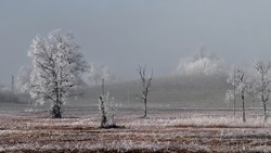 Синоптики уточнили прогноз погоды на 2 апреля в Сахалинской области