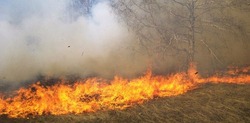  Пожарные ликвидировали возгорания травы в трех районах Сахалина