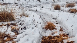 До 6 градусов тепла прогнозируют в Сахалинской области 22 марта