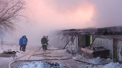 Появились подробности страшного пожара в приюте для животных на Сахалине