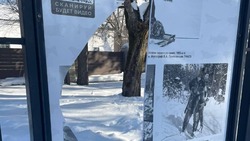 Вандалы разбили стенды с фотографиями в городском парке Южно-Сахалинска