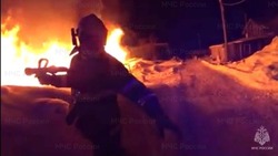 Две сотни голов кур сгорели при пожаре на Сахалине 