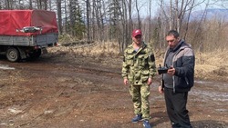 Леса Сахалинской области восстановят с помощью беспилотников 