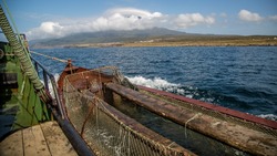 Участки для промысла лососевых выделили КМНС на Сахалине