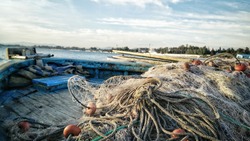 Рыбакам в Охотском море запретят ловить ценную рыбу
