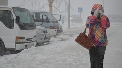 Сильный снег прогнозируют в Южно-Сахалинске 17 декабря