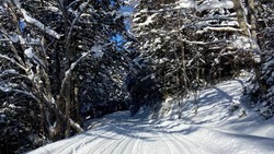 Новое место для лыжных прогулок открыли в Южно-Сахалинске