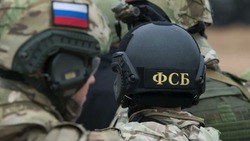ФСБ расширила перечень сведений для признания иноагентом в РФ