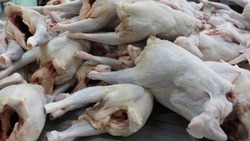Антибиотики нашли в привозном мясе цыплят на Сахалине