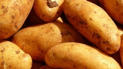 Картофель и хозяйственное мыло подешевели на Сахалине в октябре 2022 года