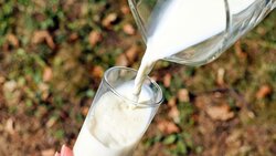 В магазинах Южно-Сахалинска нашли поддельное молоко из Кемеровской области