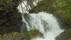 Краеведы на Клоковском водопаде